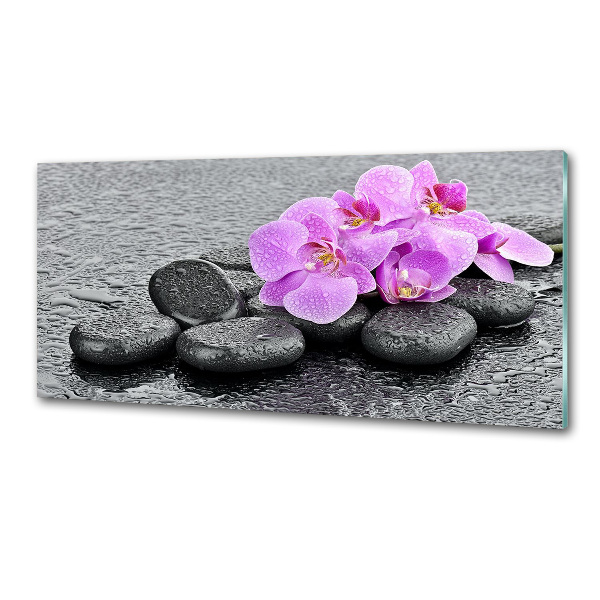 Panel do kuchyně Orchidej kamení
