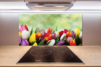 Panel do kuchyně Barevné tulipány