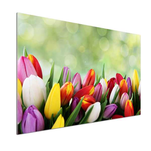 Panel do kuchyně Barevné tulipány