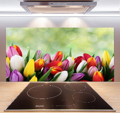 Panel do kuchyně Barevné tulipány