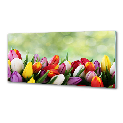 Panel do kuchyně Barevné tulipány