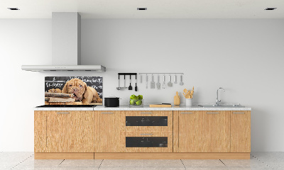 Panel lacobel Pes kouše knížku