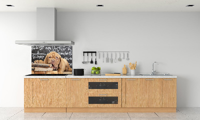 Panel lacobel Pes kouše knížku