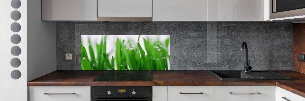Dekorační panel sklo Stébla trávy