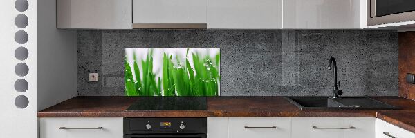 Dekorační panel sklo Stébla trávy