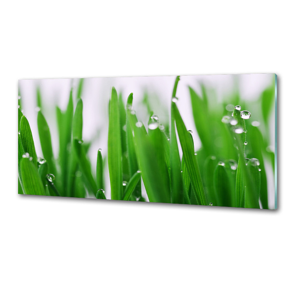 Dekorační panel sklo Stébla trávy