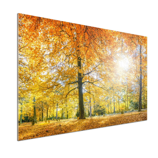 Dekorační panel sklo Podzimní les