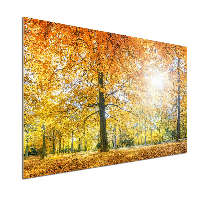 Dekorační panel sklo Podzimní les