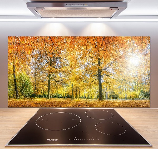 Dekorační panel sklo Podzimní les