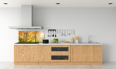 Dekorační panel sklo Podzimní les