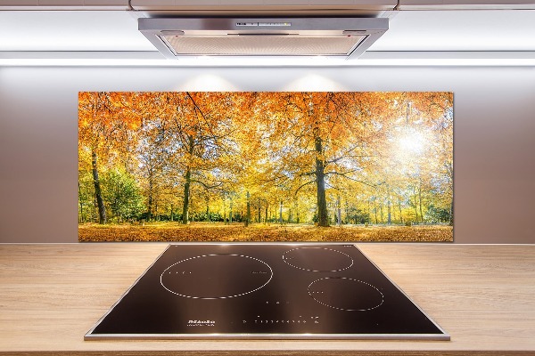 Dekorační panel sklo Podzimní les
