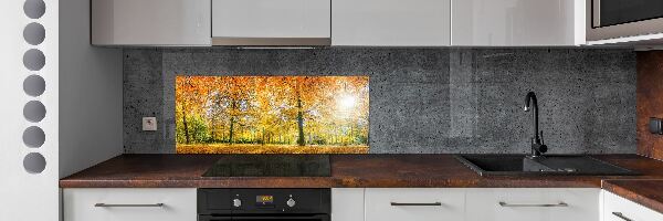 Dekorační panel sklo Podzimní les