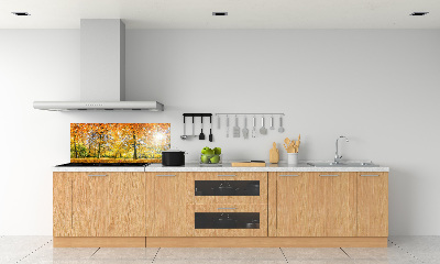 Dekorační panel sklo Podzimní les