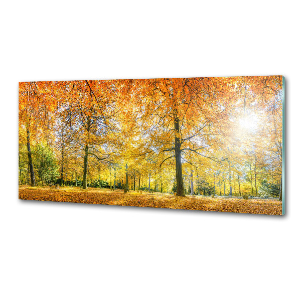 Dekorační panel sklo Podzimní les
