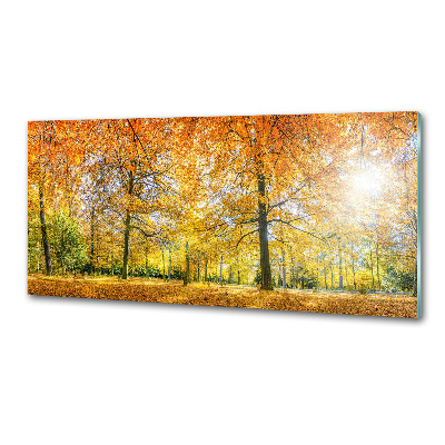 Dekorační panel sklo Podzimní les