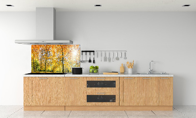 Dekorační panel sklo Podzimní les