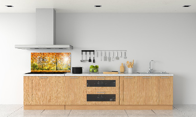 Dekorační panel sklo Podzimní les