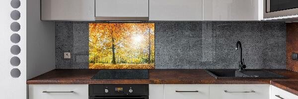 Dekorační panel sklo Podzimní les