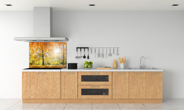 Dekorační panel sklo Podzimní les