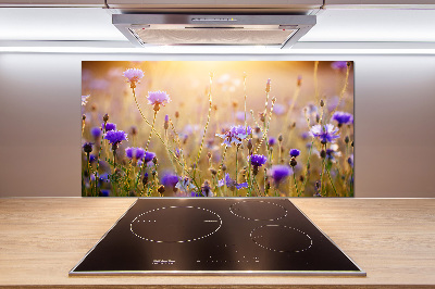 Dekorační panel sklo Plolní květiny