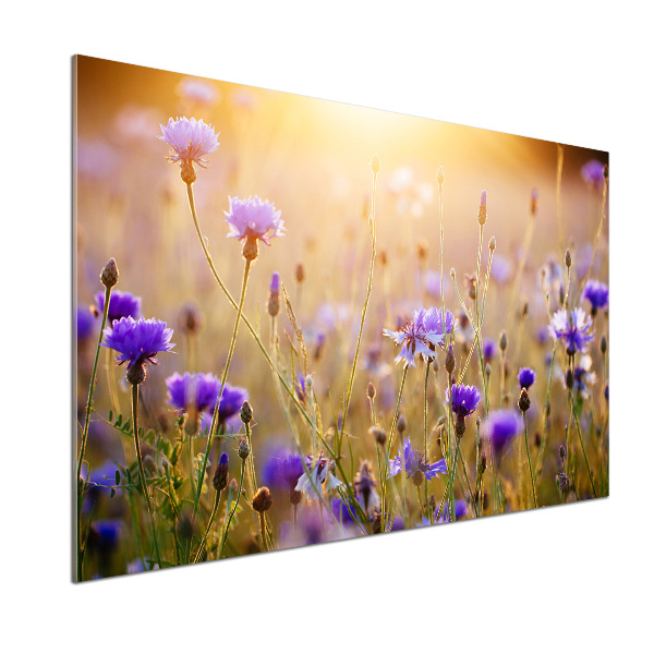 Dekorační panel sklo Plolní květiny