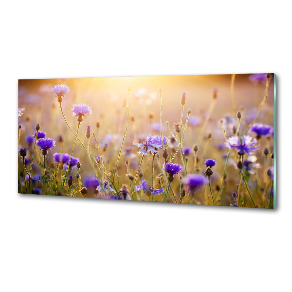Dekorační panel sklo Plolní květiny