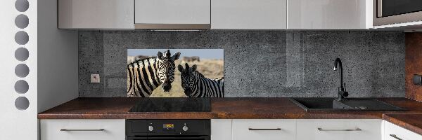 Dekorační panel sklo Dvě zebry