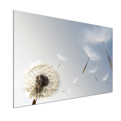 Dekorační panel sklo Pampeliška