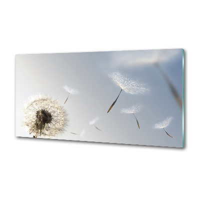 Dekorační panel sklo Pampeliška
