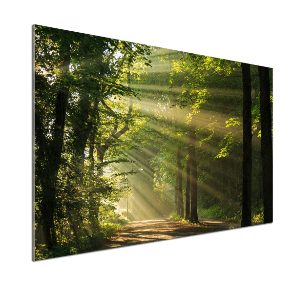 Dekorační panel sklo Les slunce