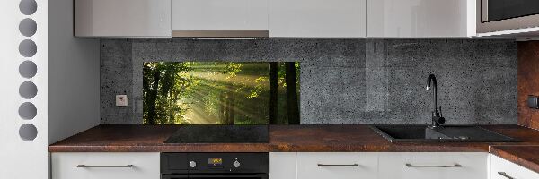 Dekorační panel sklo Les slunce