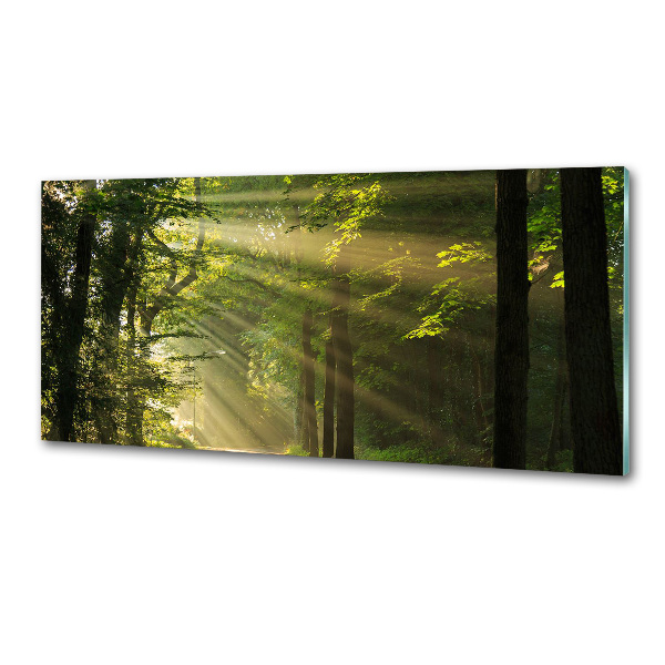 Dekorační panel sklo Les slunce