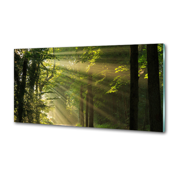 Dekorační panel sklo Les slunce