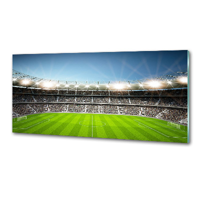 Skleněný panel do kuchyně Stadion