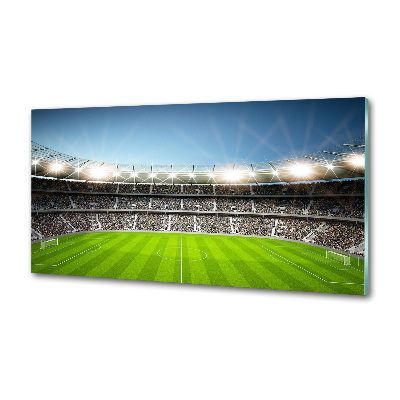 Skleněný panel do kuchyně Stadion