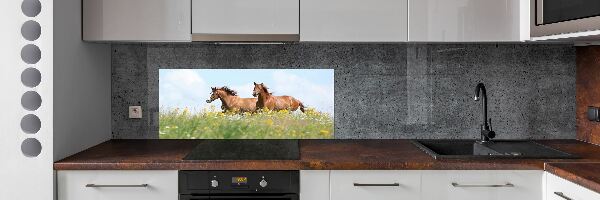 Panel lacobel Dva koně ve cvalu