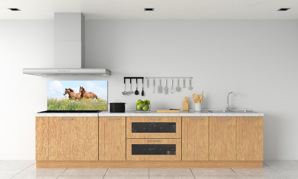 Panel lacobel Dva koně ve cvalu