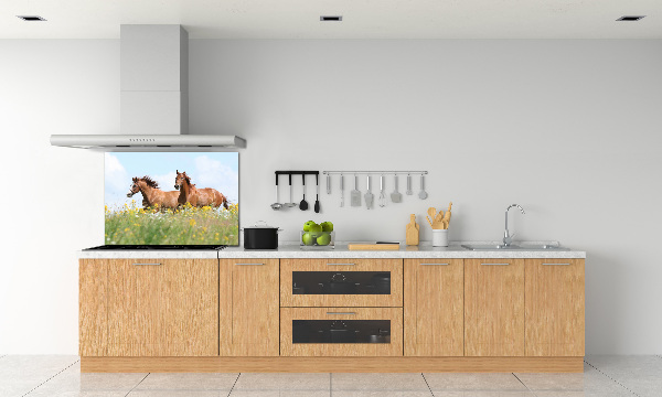 Panel lacobel Dva koně ve cvalu