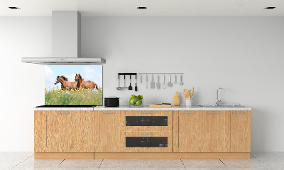 Panel lacobel Dva koně ve cvalu