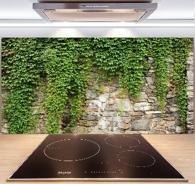 Panel do kuchyně Zelený břečťan