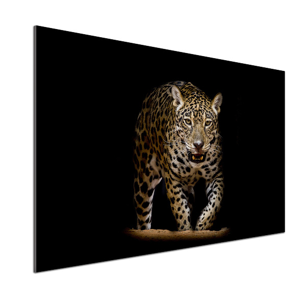 Skleněný panel do kuchyně Jaguál