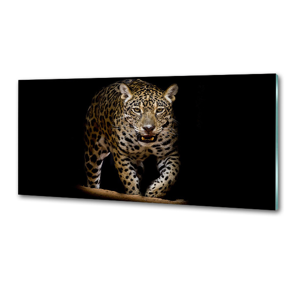 Skleněný panel do kuchyně Jaguál