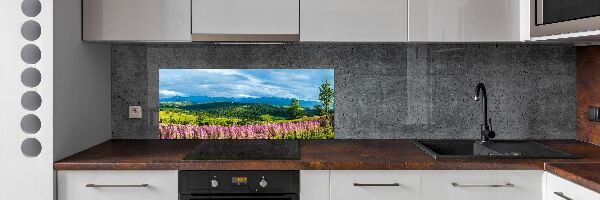 Panel do kuchyně Levandule v horách