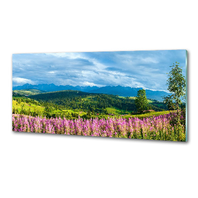 Panel do kuchyně Levandule v horách