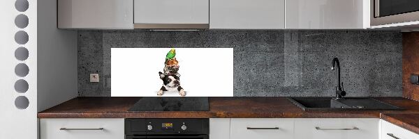 Panel do kuchyně Skupina zvířat