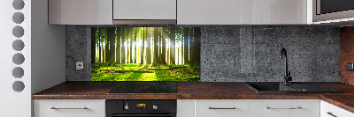 Dekorační panel sklo Les slunce