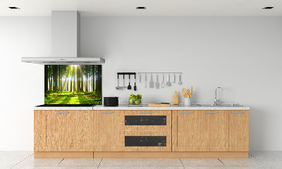 Dekorační panel sklo Les slunce