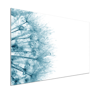 Dekorační panel sklo Pampeliška
