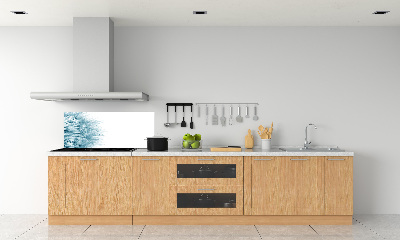 Dekorační panel sklo Pampeliška