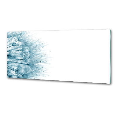 Dekorační panel sklo Pampeliška